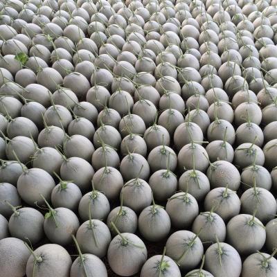 mở rộng 1 - không xài