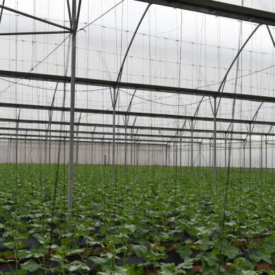 mở rộng 1 - không xài